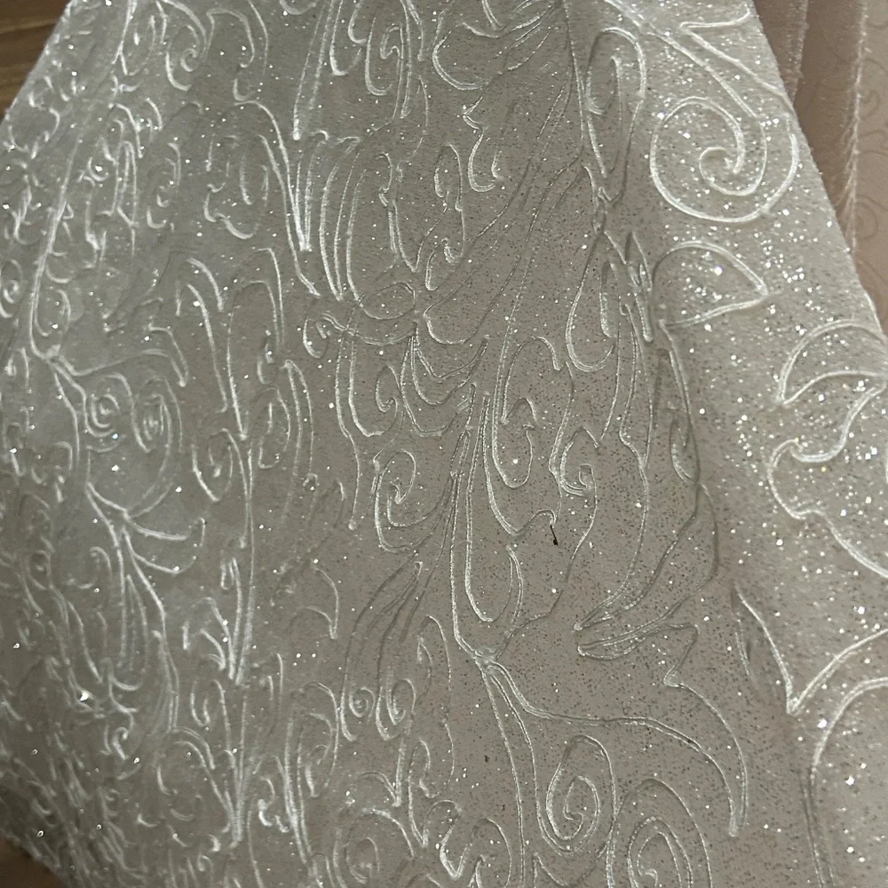 Amalia Carerra Bridal Gown Size 14 - Picture 6 of 16